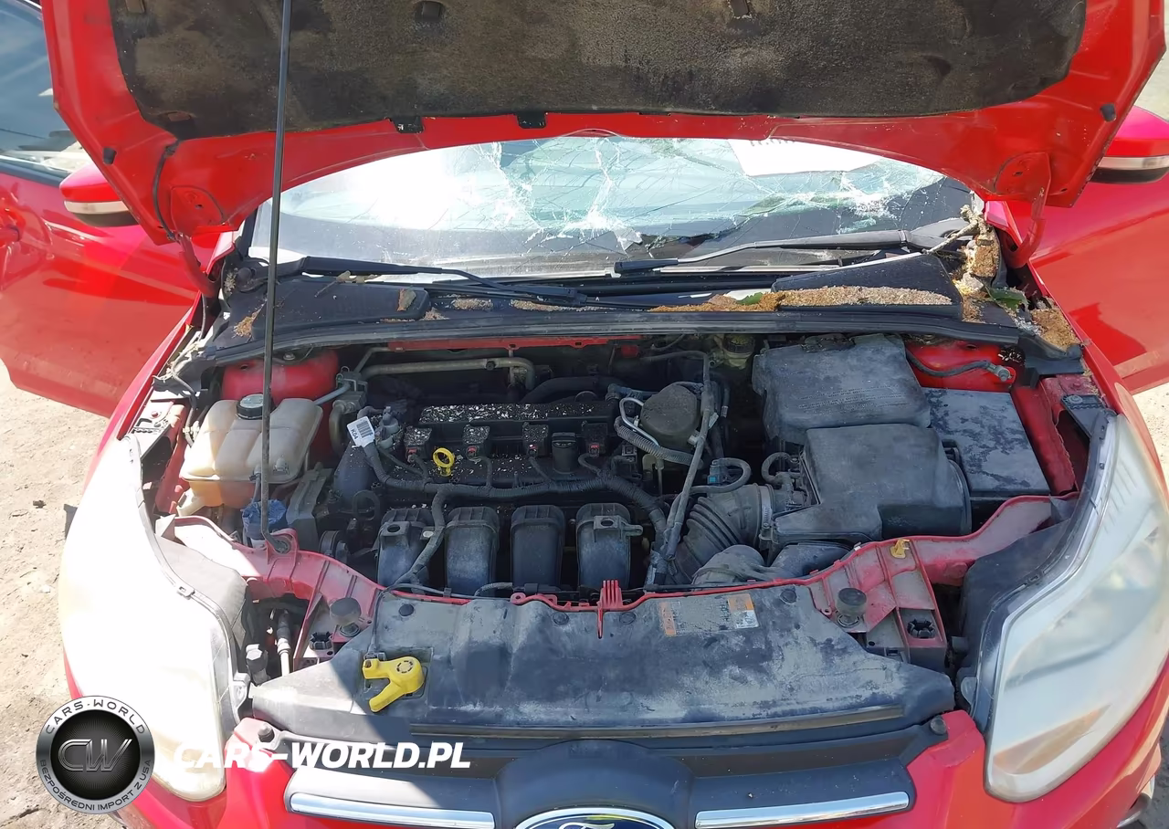 2014 Ford Focus Se VIN:1FADP3K2XEL443667 - 10