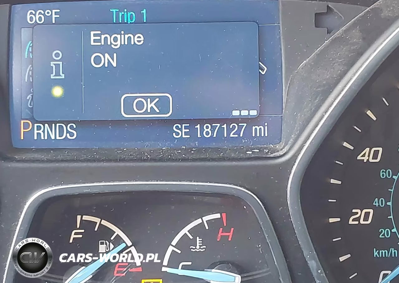 2014 Ford Focus Se VIN:1FADP3K2XEL443667 - 15