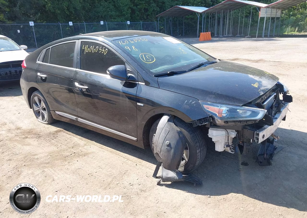 2019 Hyundai Ioniq Electric Limited VIN:KMHC05LH0KU045409 - 1