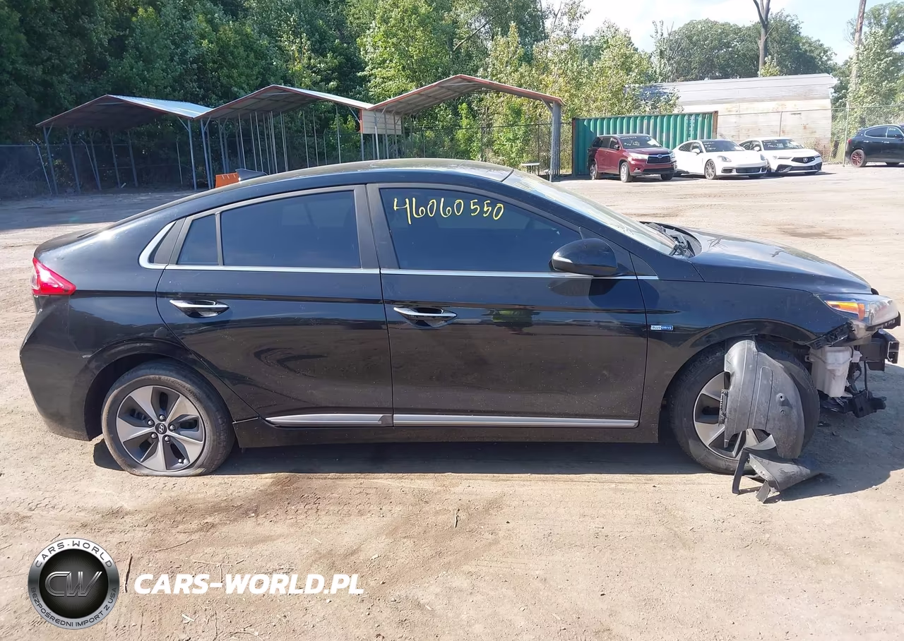 2019 Hyundai Ioniq Electric Limited VIN:KMHC05LH0KU045409 - 12