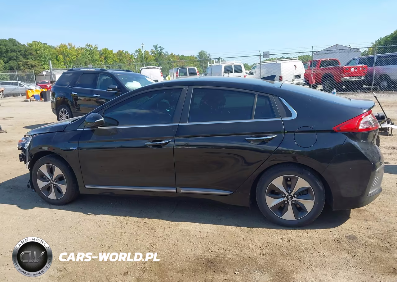 2019 Hyundai Ioniq Electric Limited VIN:KMHC05LH0KU045409 - 13