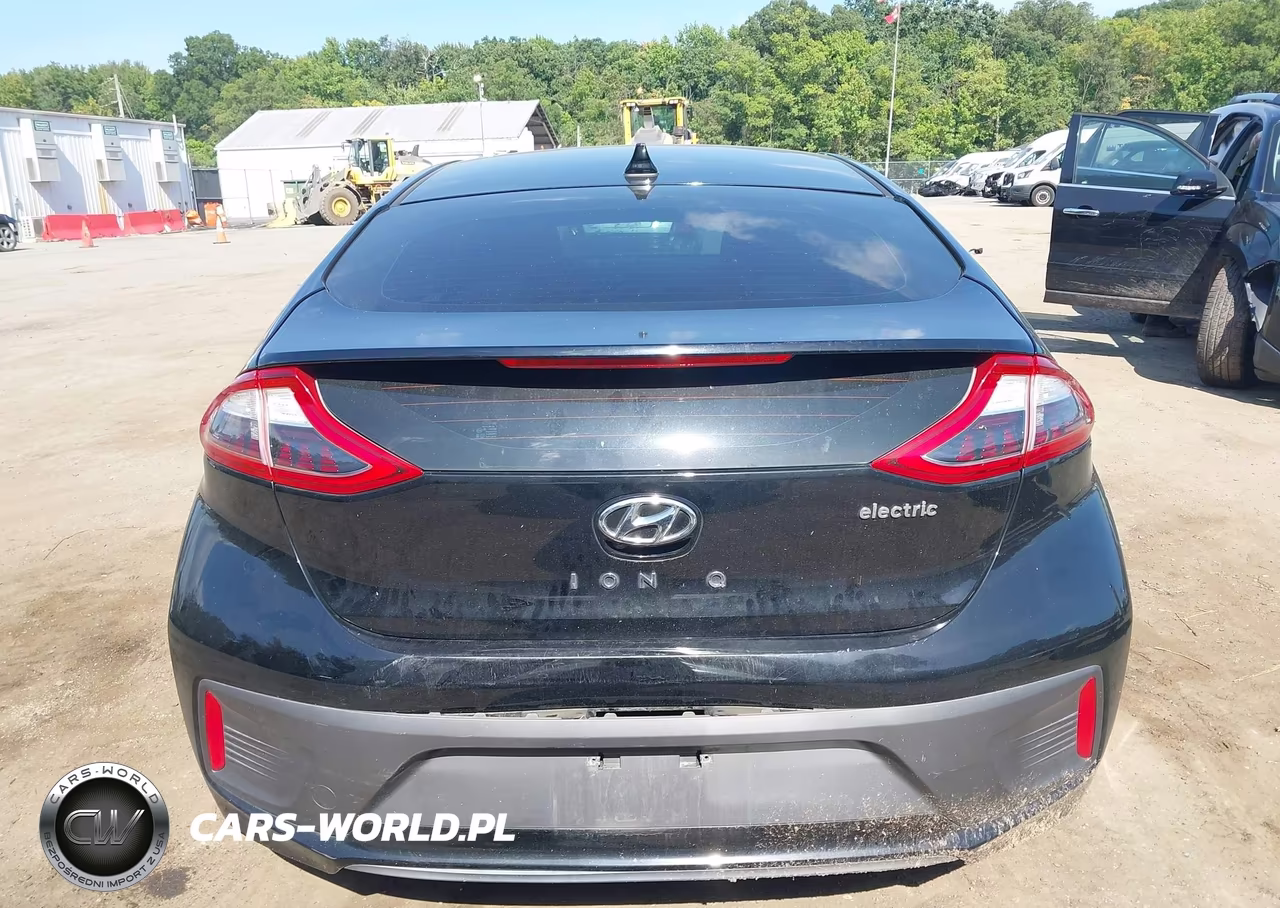 2019 Hyundai Ioniq Electric Limited VIN:KMHC05LH0KU045409 - 15