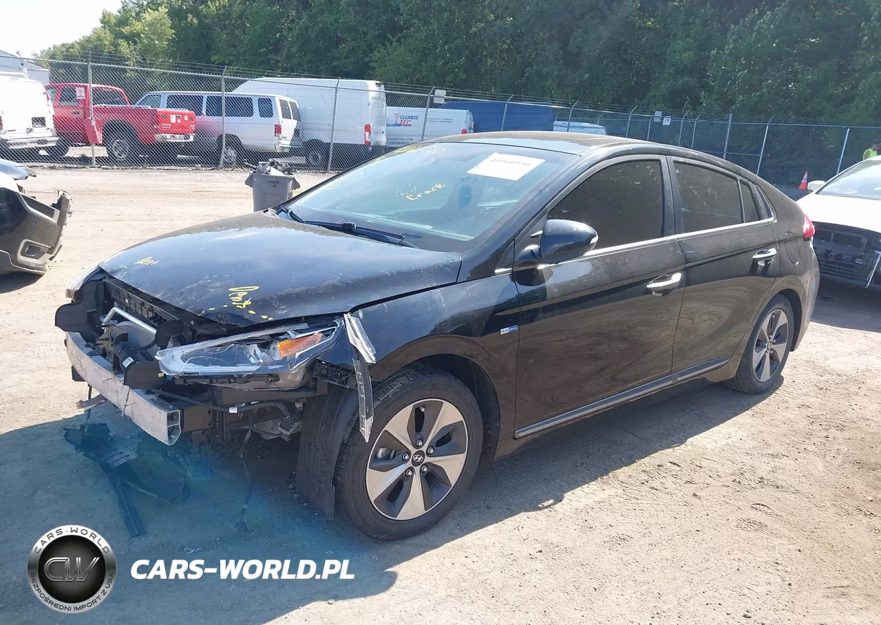 2019 Hyundai Ioniq Electric Limited VIN:KMHC05LH0KU045409 - 2