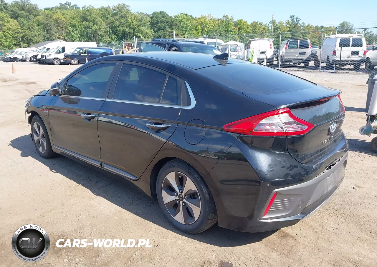 2019 Hyundai Ioniq Electric Limited VIN:KMHC05LH0KU045409 - 3