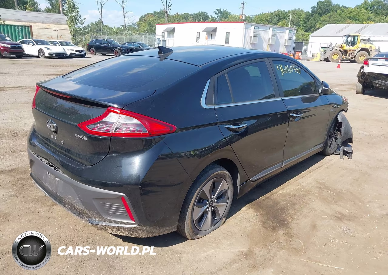 2019 Hyundai Ioniq Electric Limited VIN:KMHC05LH0KU045409 - 4