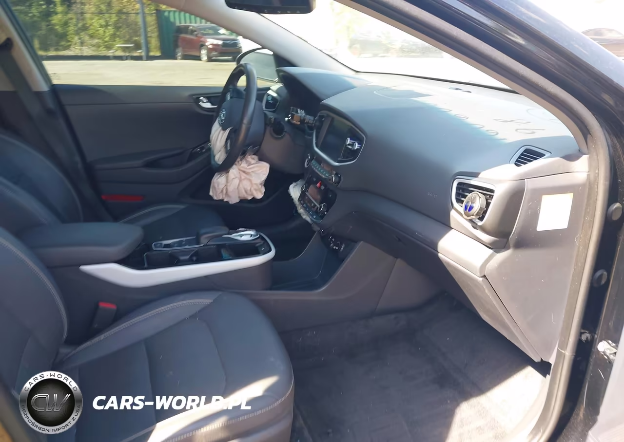 2019 Hyundai Ioniq Electric Limited VIN:KMHC05LH0KU045409 - 5