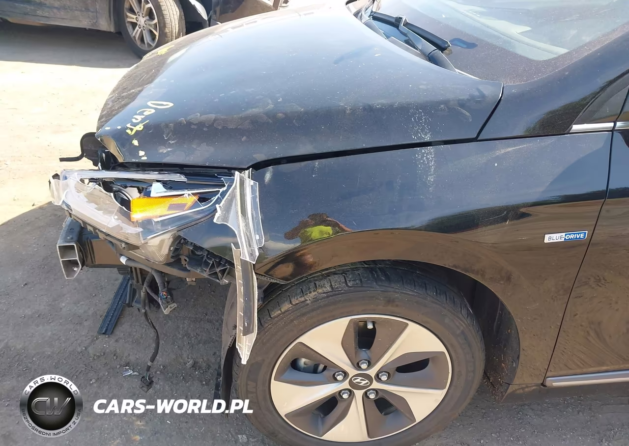 2019 Hyundai Ioniq Electric Limited VIN:KMHC05LH0KU045409 - 6