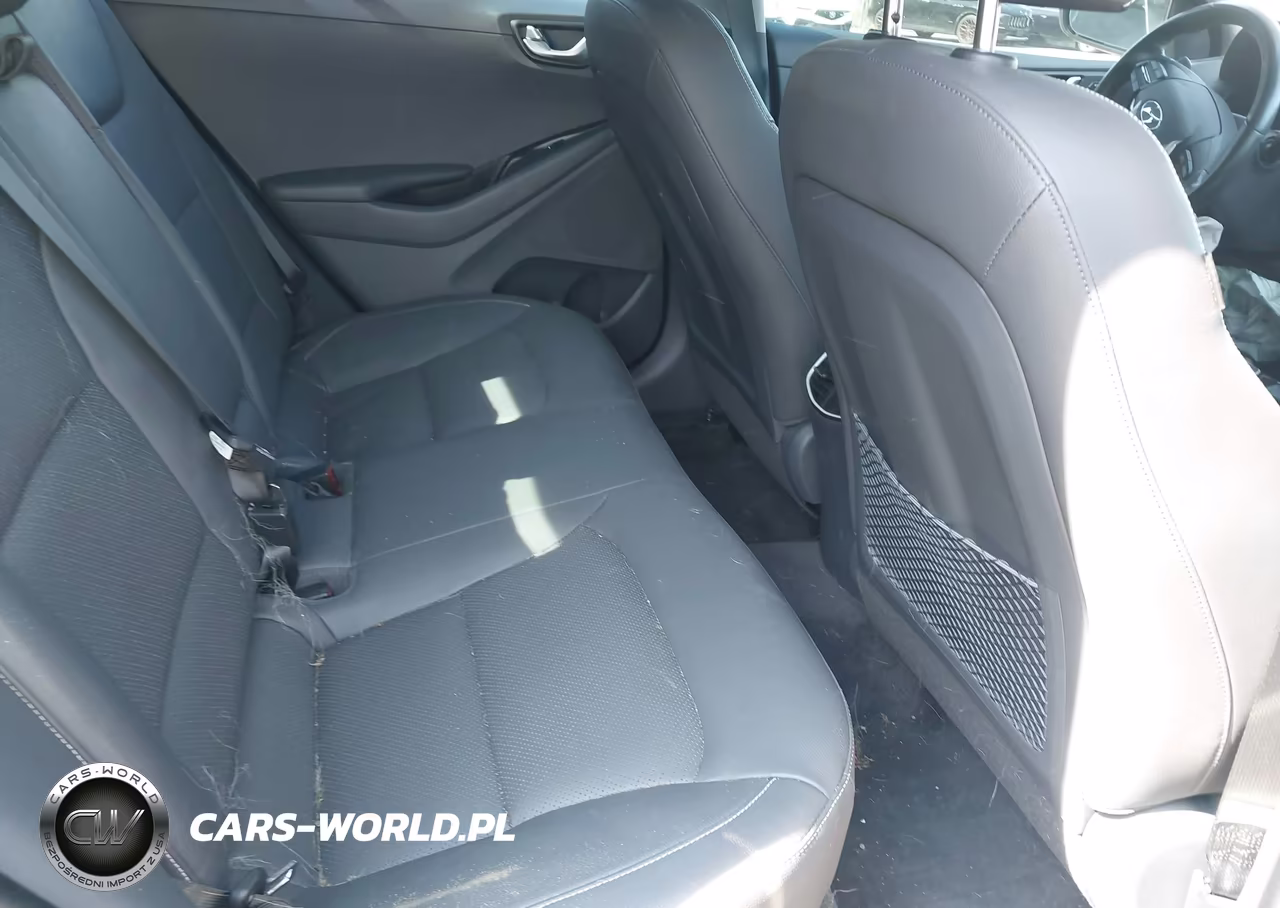 2019 Hyundai Ioniq Electric Limited VIN:KMHC05LH0KU045409 - 8