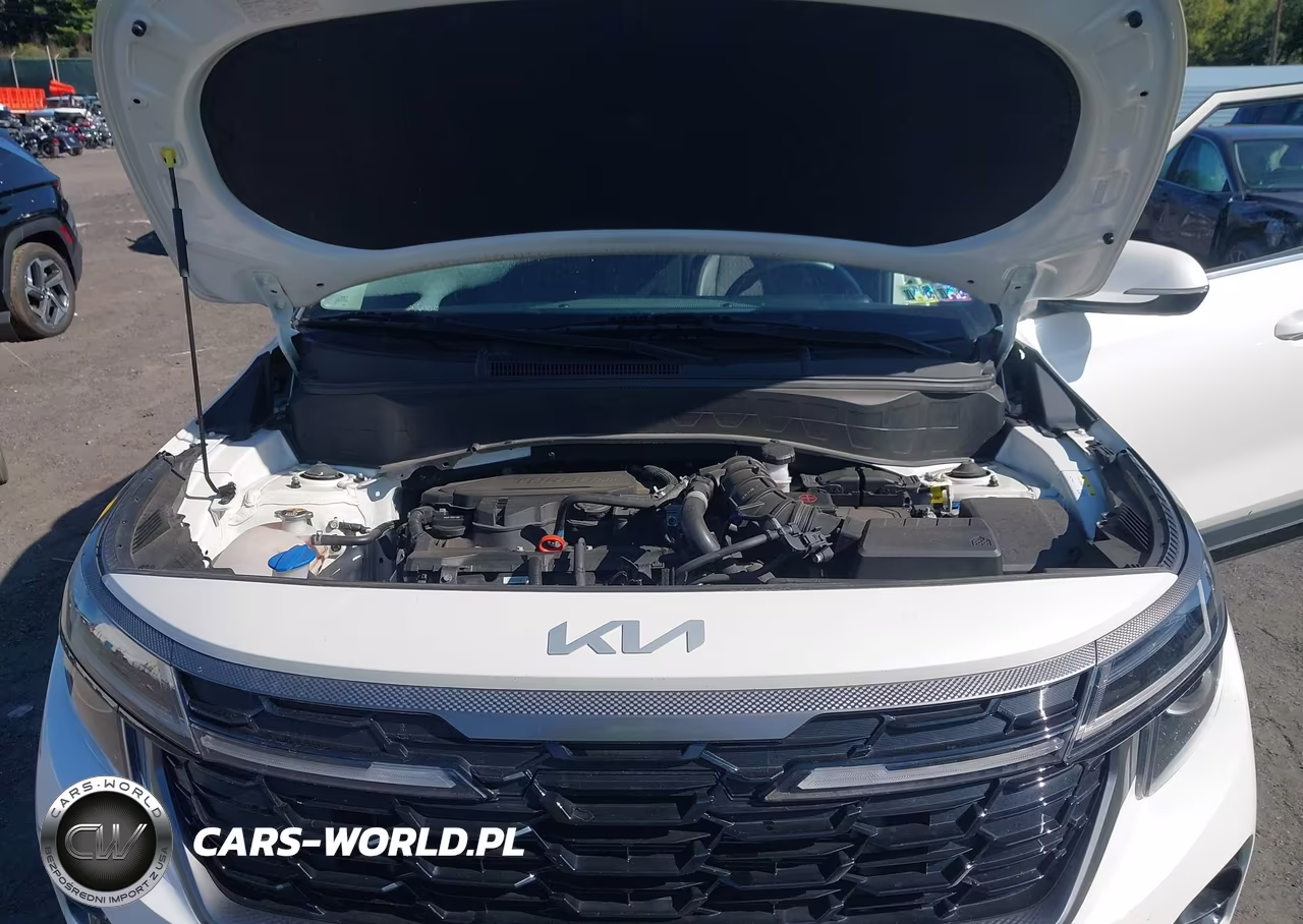 2024 Kia Seltos X-Line VIN:KNDEUCA77R7588264 - 10