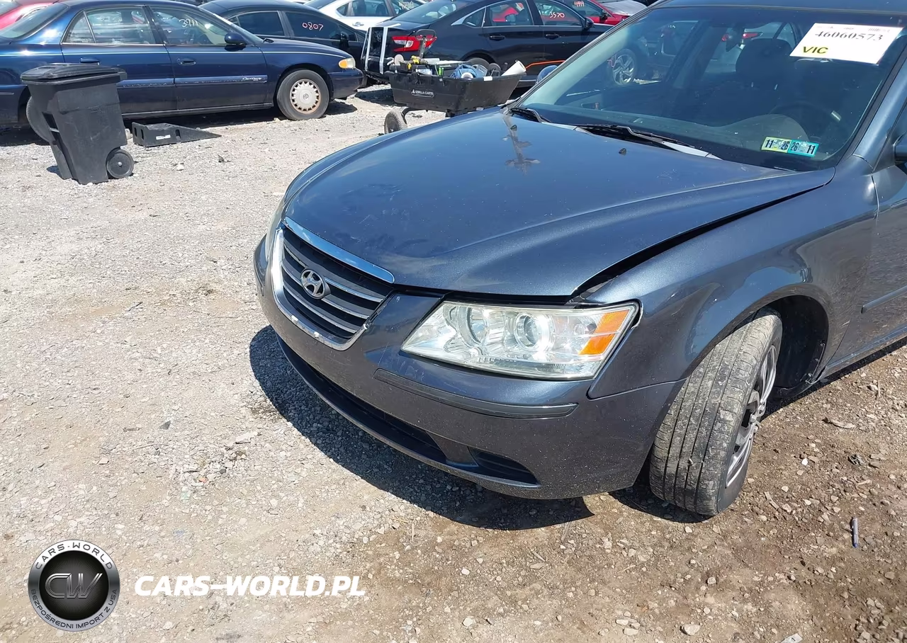 2010 Hyundai Sonata Gls VIN:5NPET4AC5AH601681 - 6