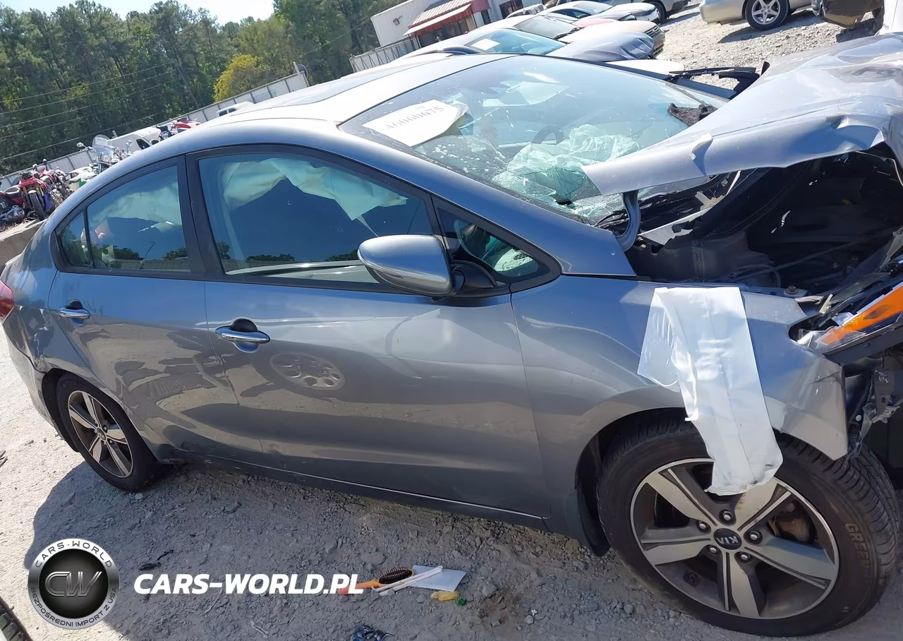 2018 Kia Forte S VIN:3KPFL4A76JE241641 - 13