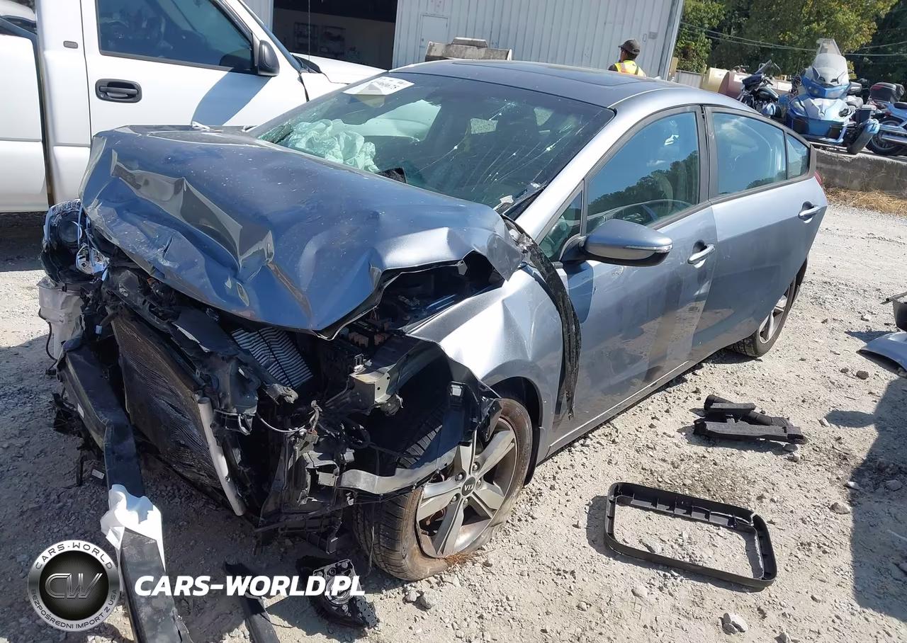 2018 Kia Forte S VIN:3KPFL4A76JE241641 - 2