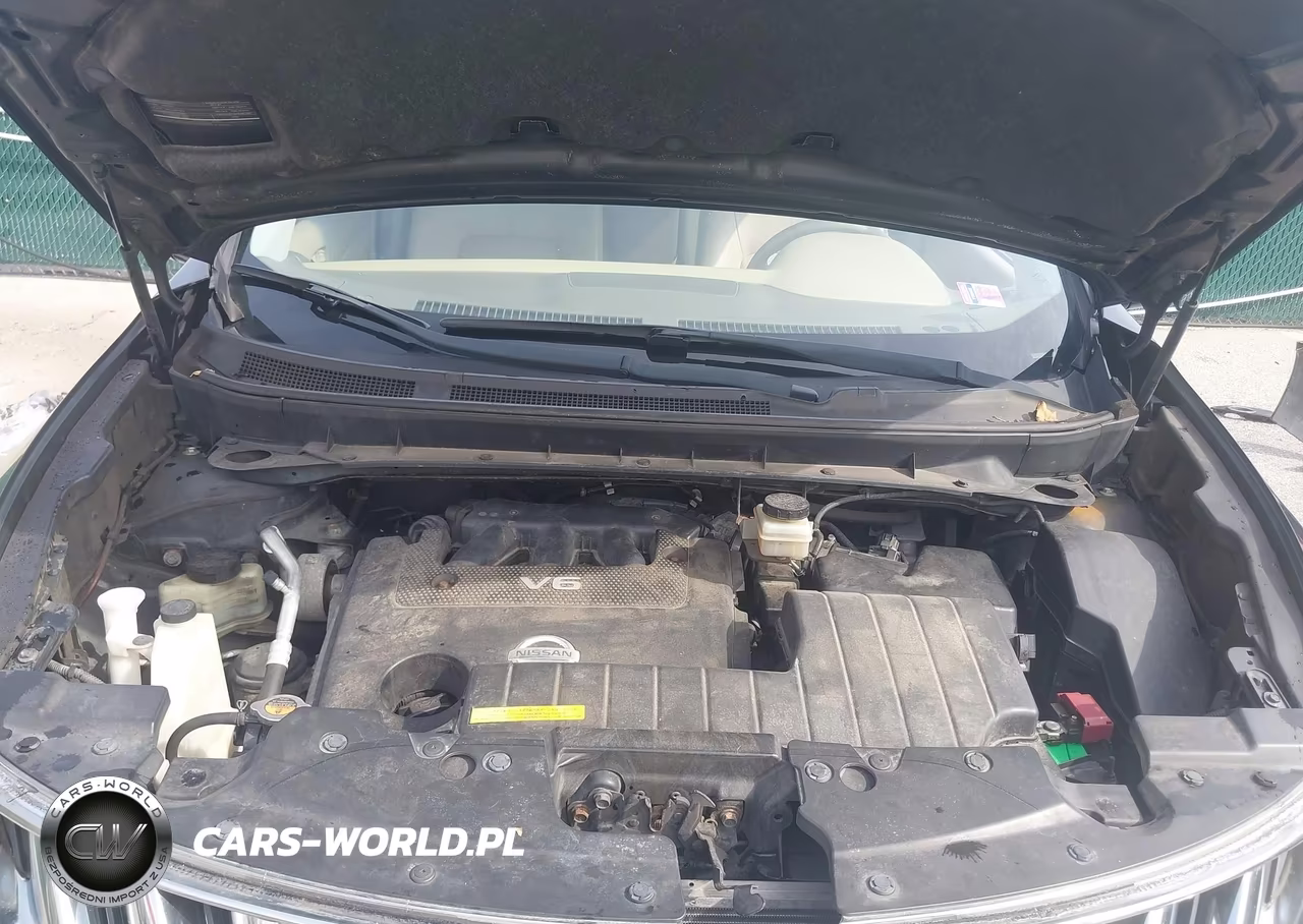 2010 Nissan Murano Sl VIN:JN8AZ1MW0AW126019 - 10