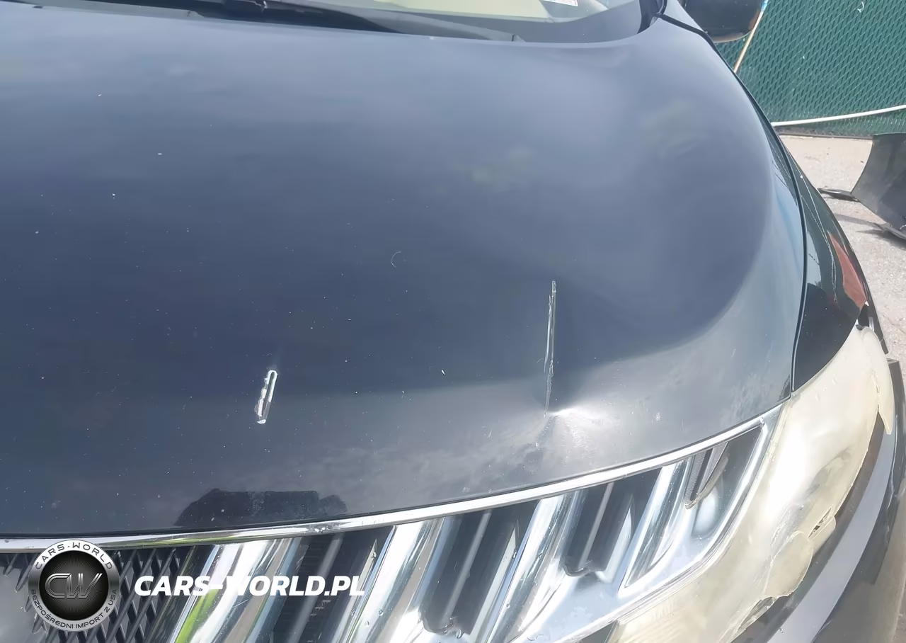 2010 Nissan Murano Sl VIN:JN8AZ1MW0AW126019 - 17