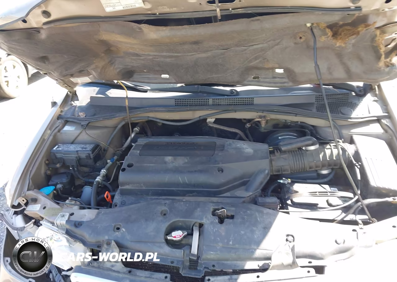 2004 Honda Odyssey Ex VIN:5FNRL186X4B012614 - 10