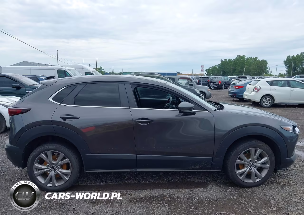 2020 Mazda Cx-30 Select Package VIN:3MVDMBCL5LM106340 - 13