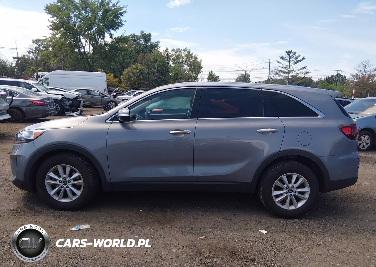 2020 Kia Sorento 2.4L Lx VIN:5XYPG4A30LG691569 - 14