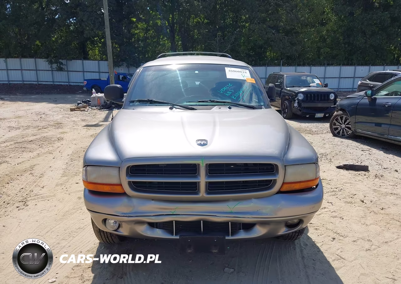 1999 Dodge Durango VIN:1B4HS28Y6XF660163 - 12