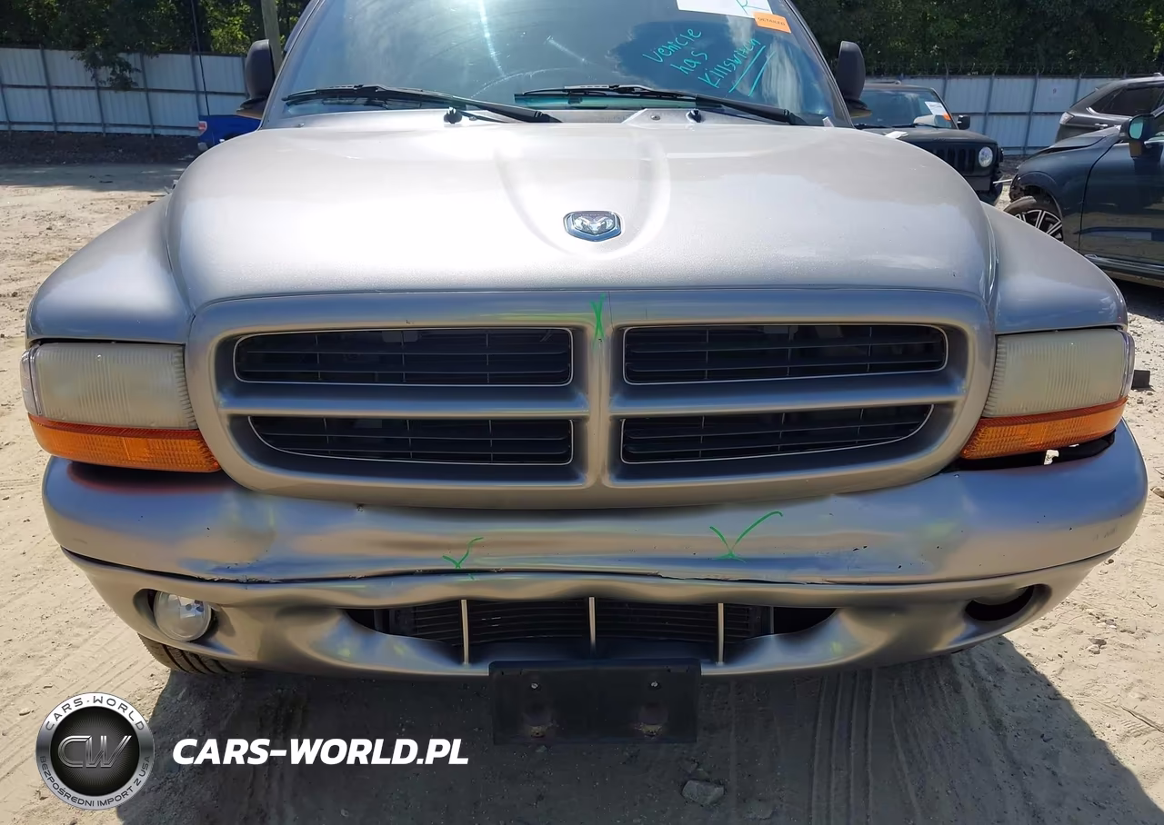 1999 Dodge Durango VIN:1B4HS28Y6XF660163 - 6