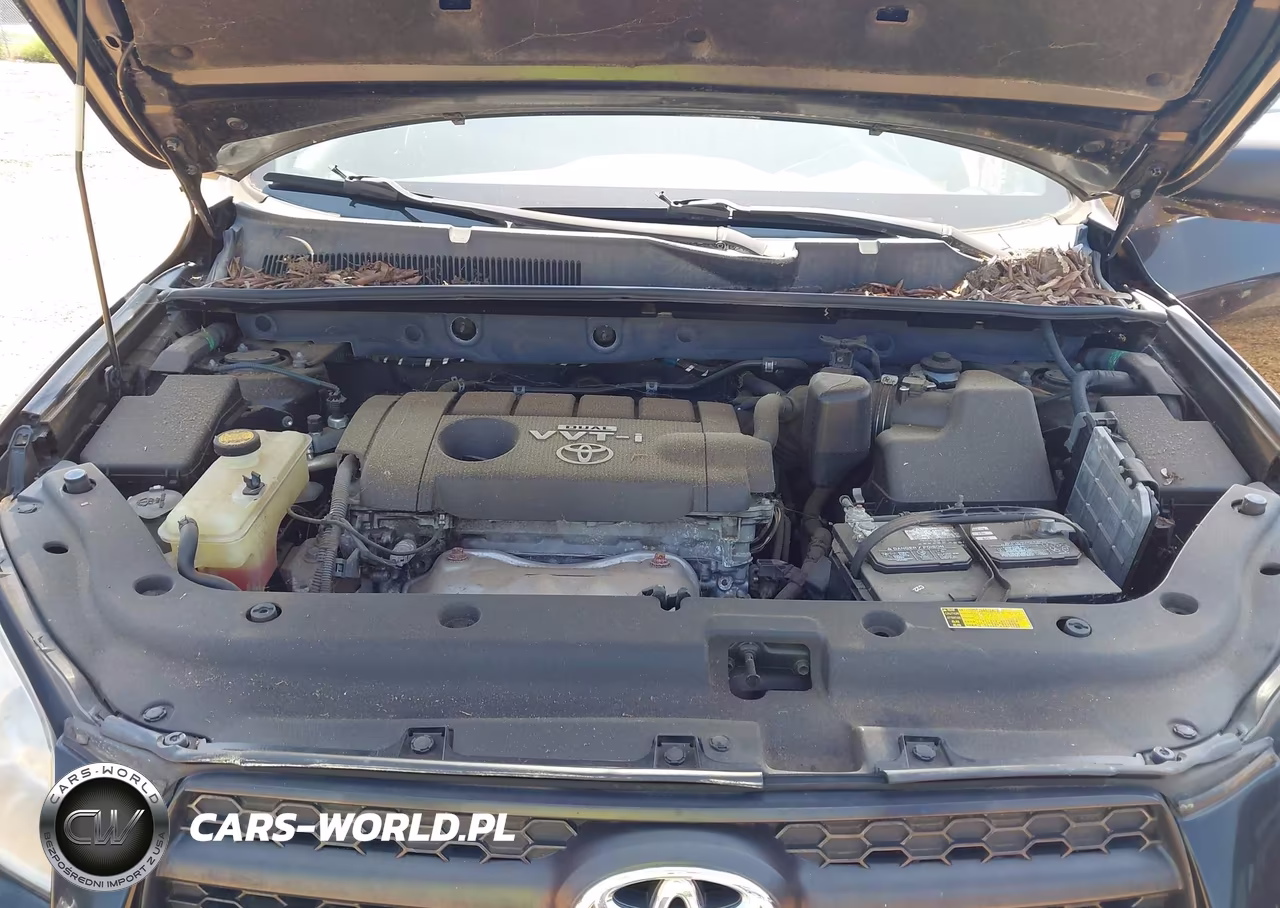 2010 Toyota Rav4 Sport VIN:2T3RF4DV7AW027891 - 10