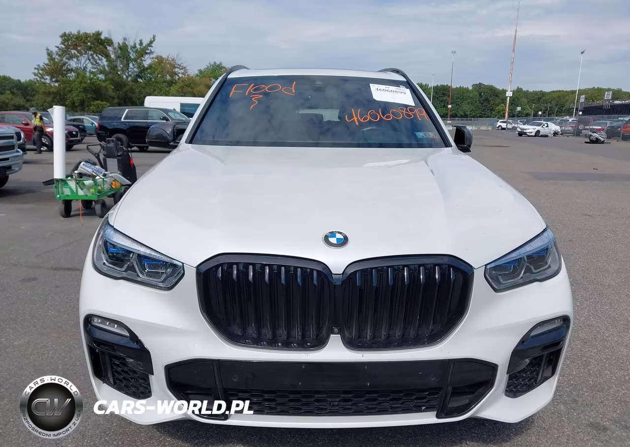 2019 BMW X5 xDrive50I VIN:5UXJU2C5XKLN66176 - 12