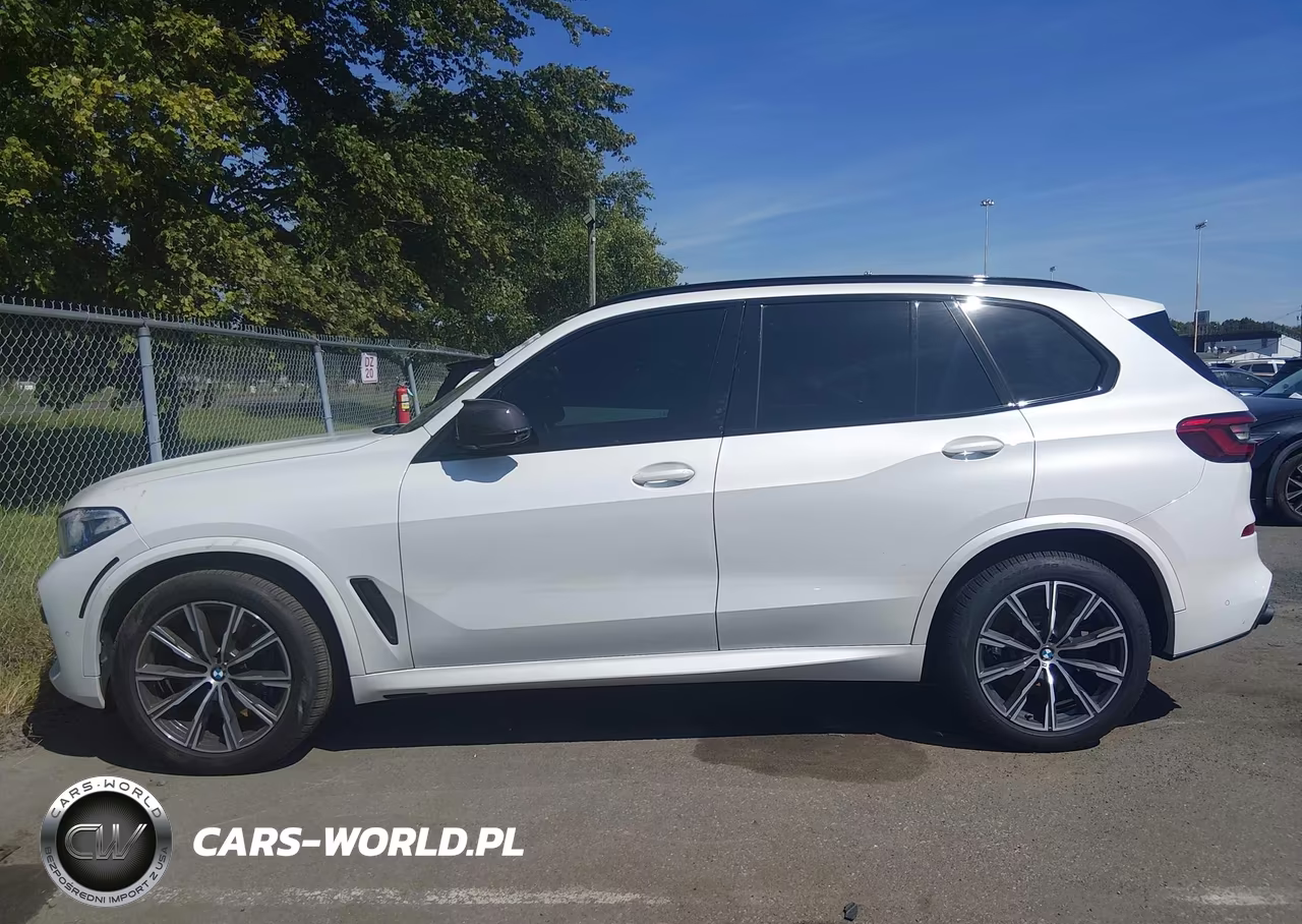2019 BMW X5 xDrive50I VIN:5UXJU2C5XKLN66176 - 20