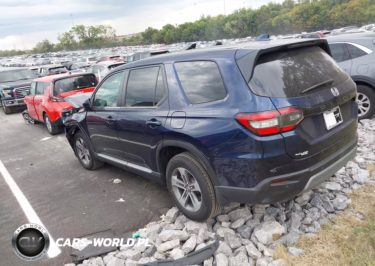 2024 Honda Pilot Ex-L 7 Passenger VIN:5FNYG2H58RB006430 - 3