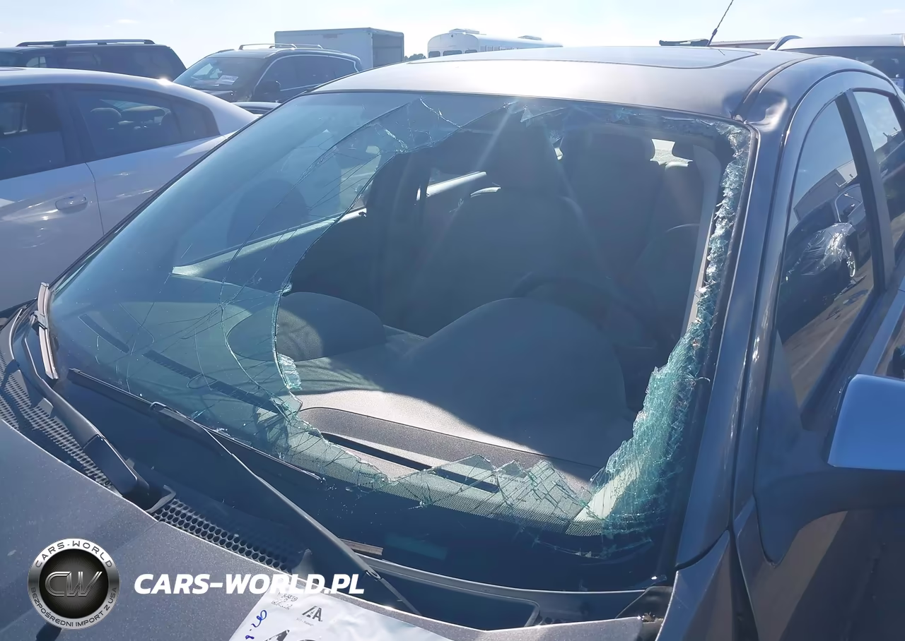 2010 Ford Focus Sel VIN:1FAHP3HN6AW250475 - 6