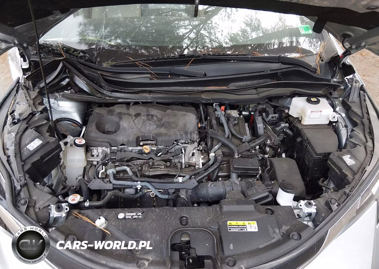 2021 Toyota Sienna Xle VIN:5TDYRKEC4MS008242 - 10