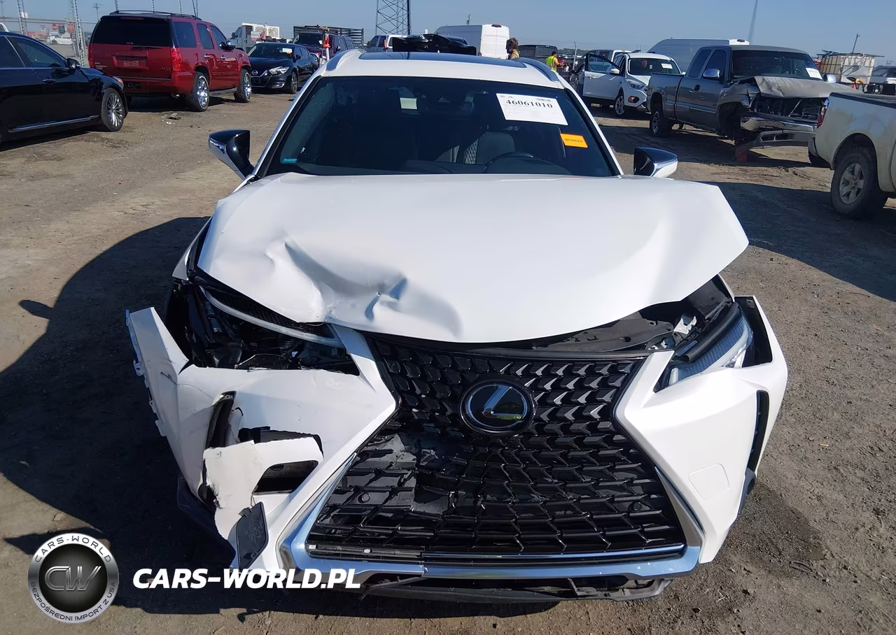 2020 Lexus Ux 200 VIN:JTHP3JBH2L2031157 - 12