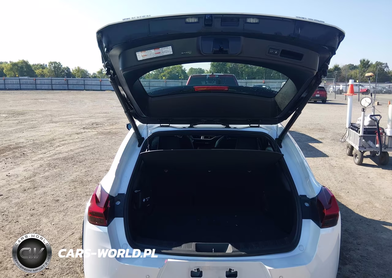 2020 Lexus Ux 200 VIN:JTHP3JBH2L2031157 - 17