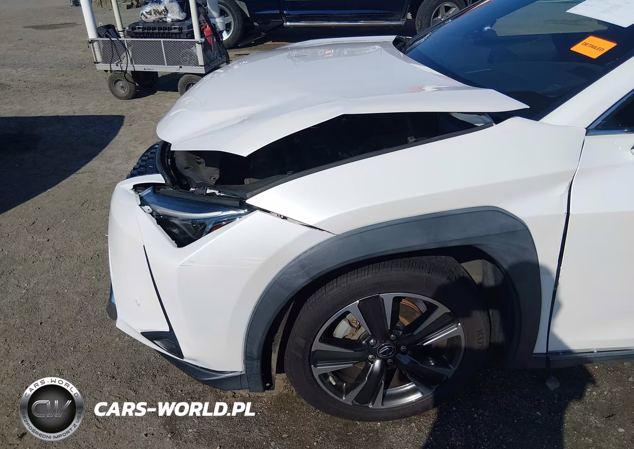 2020 Lexus Ux 200 VIN:JTHP3JBH2L2031157 - 19