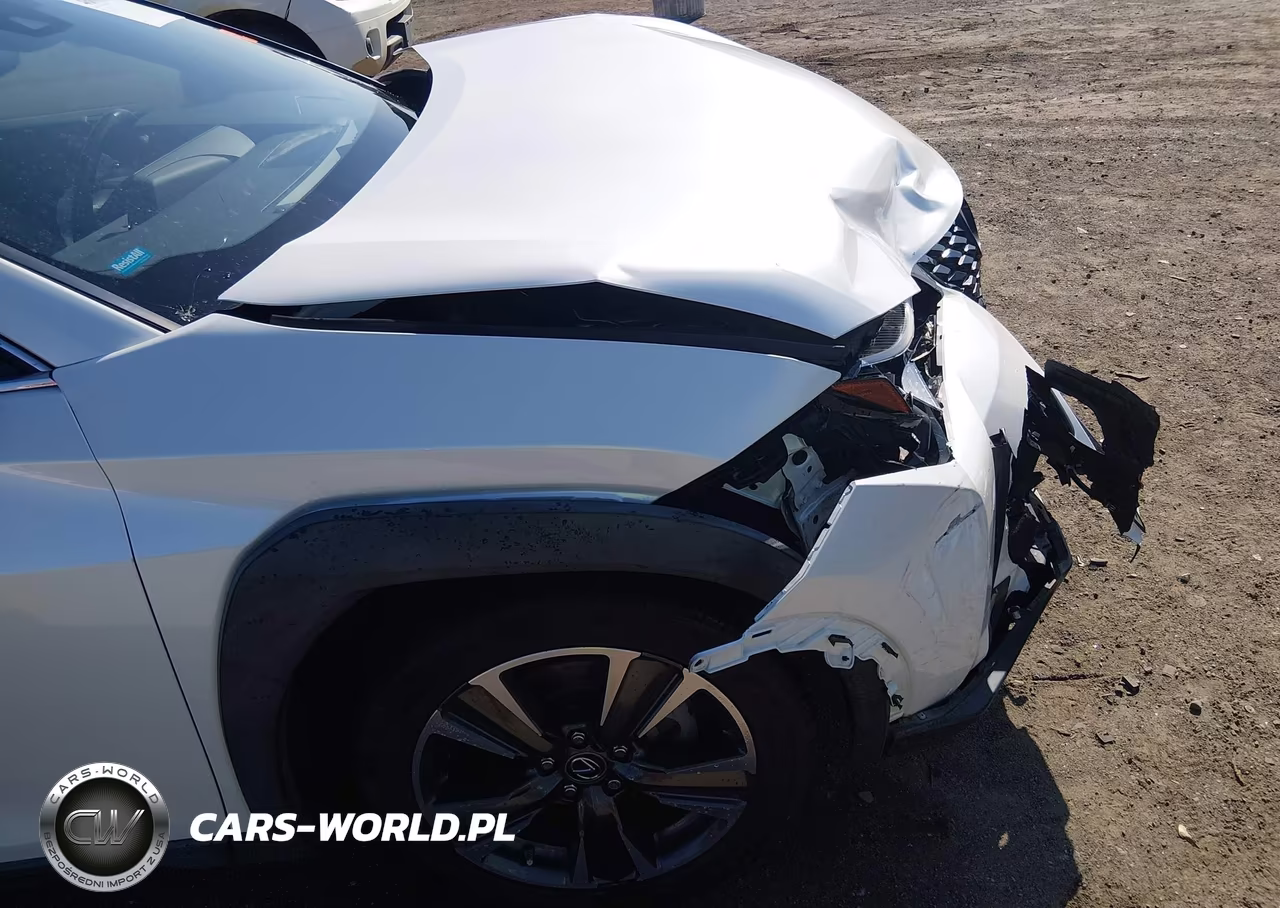 2020 Lexus Ux 200 VIN:JTHP3JBH2L2031157 - 20