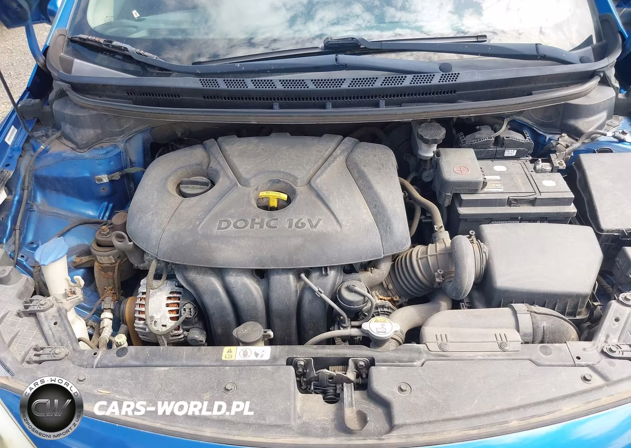 2014 Kia Forte Lx VIN:KNAFX4A68E5218954 - 10