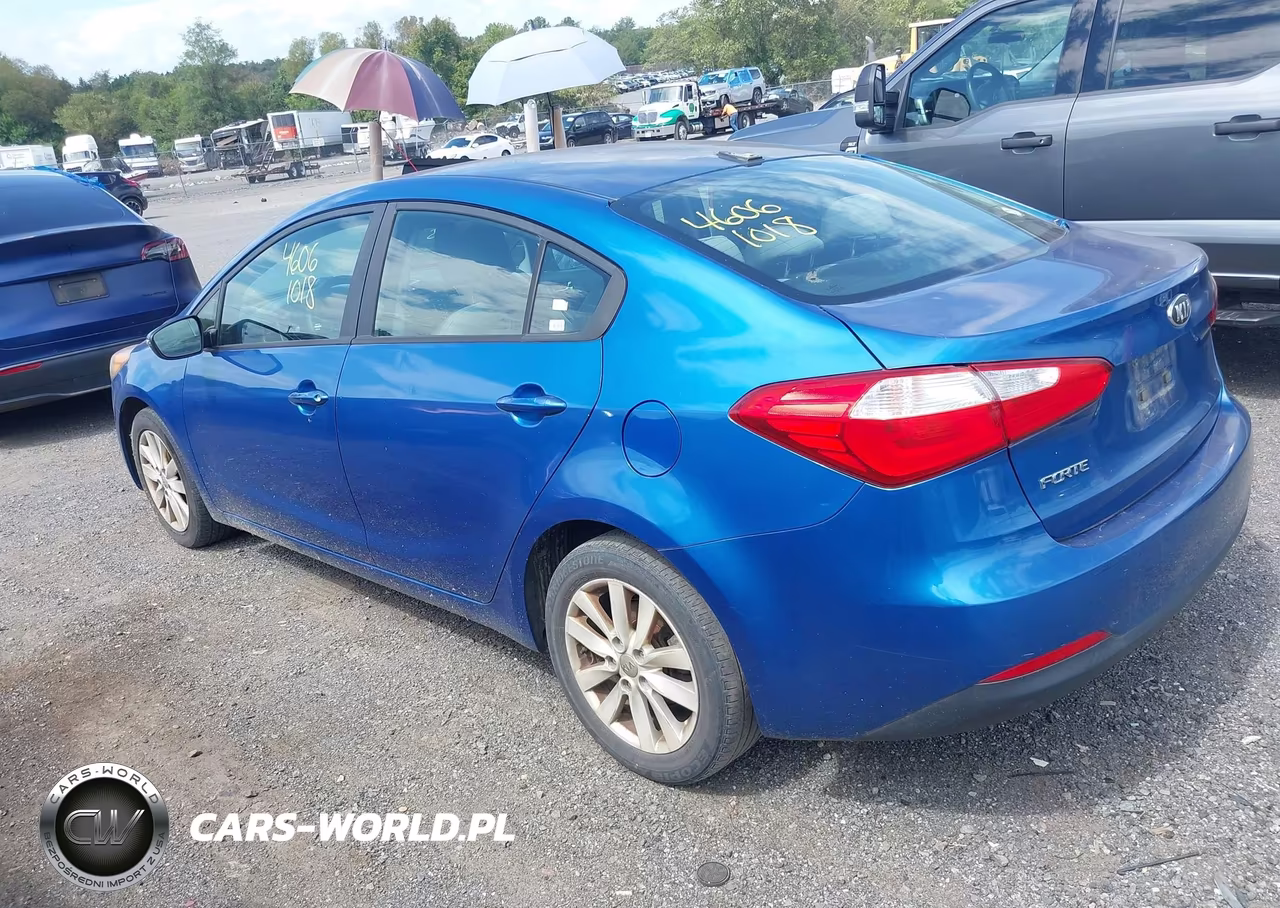2014 Kia Forte Lx VIN:KNAFX4A68E5218954 - 3