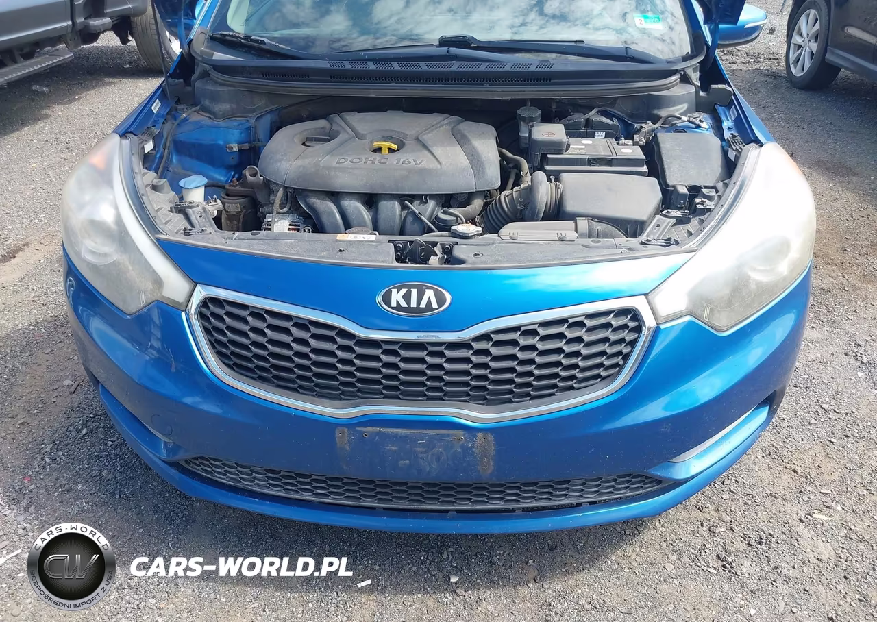 2014 Kia Forte Lx VIN:KNAFX4A68E5218954 - 6