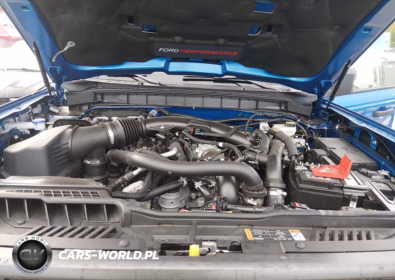 2025 Ford Bronco Raptor VIN:1FMEE0RR5SLB30118 - 10