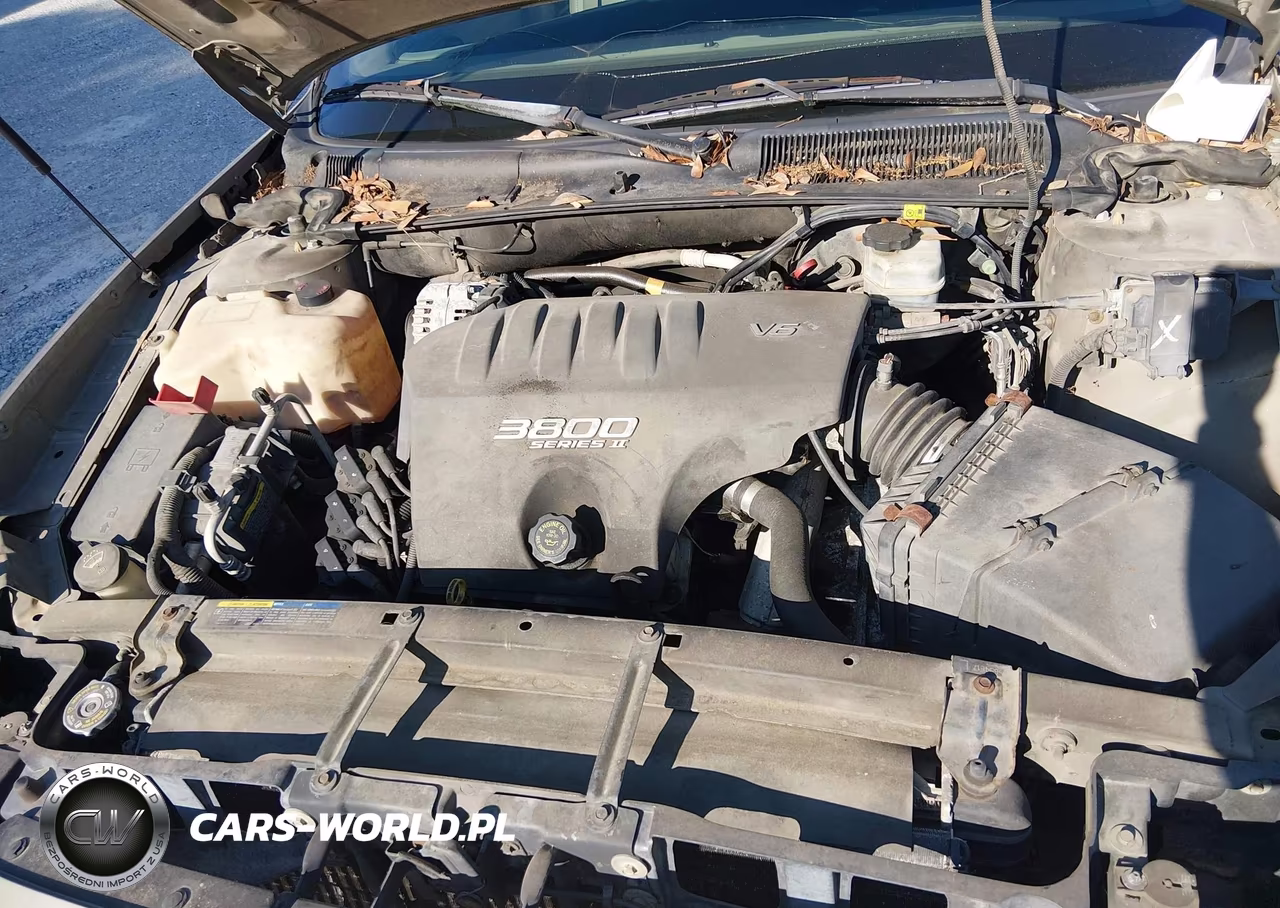 2002 Buick Lesabre Custom VIN:1G4HP54KX24118829 - 6