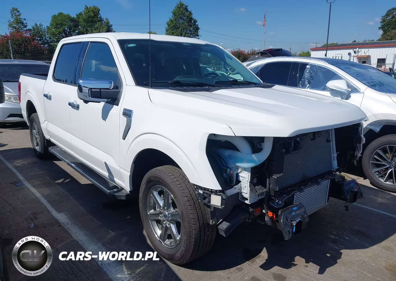 2024 Ford F-150 Xlt VIN:1FTEW3KP6RKE68087 - 1