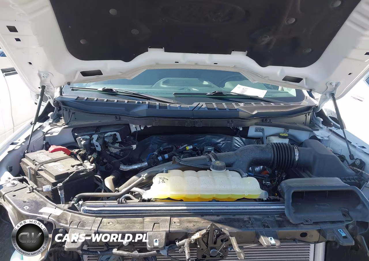 2024 Ford F-150 Xlt VIN:1FTEW3KP6RKE68087 - 10