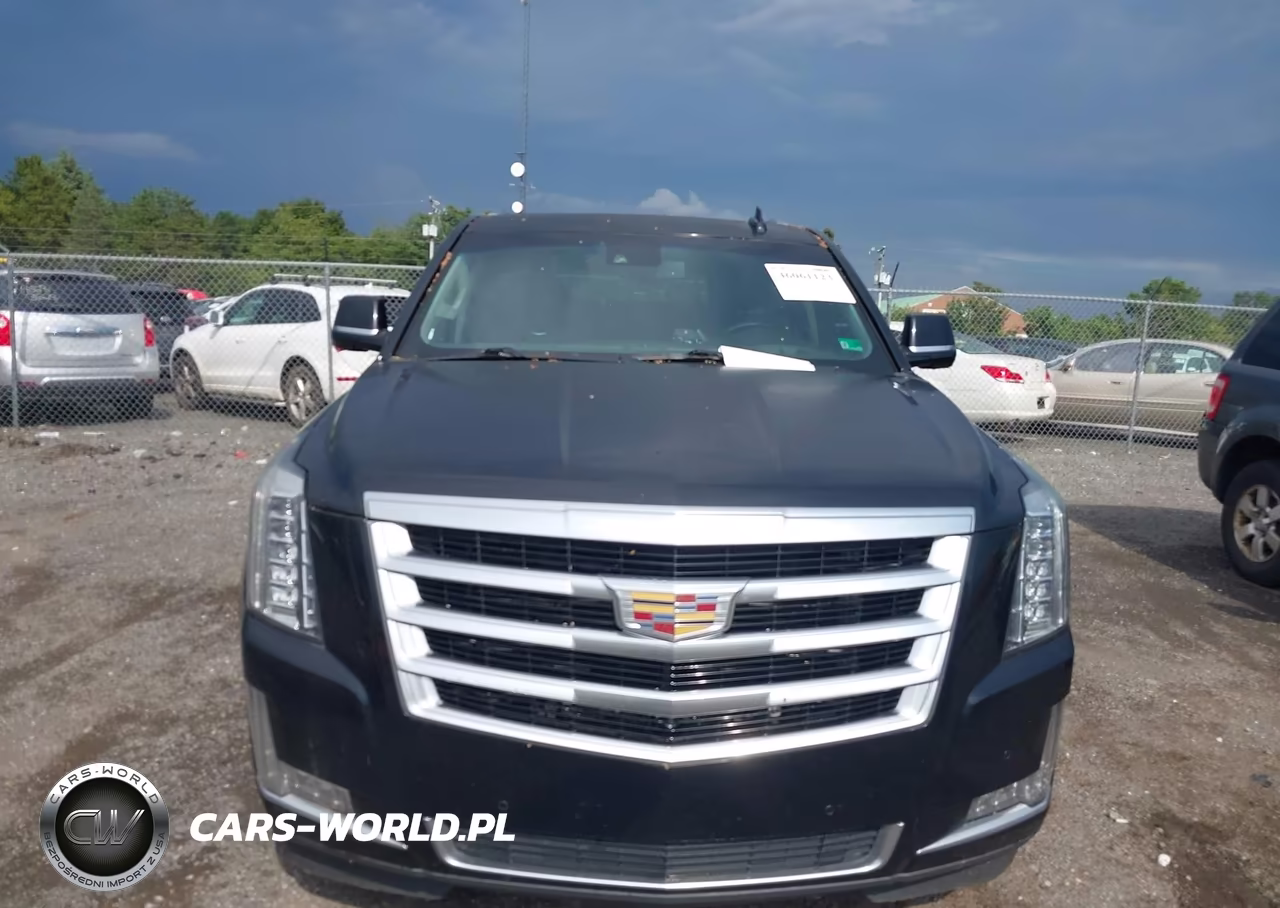 2016 Cadillac Escalade Luxury Collection VIN:1GYS4BKJ8GR131787 - 12