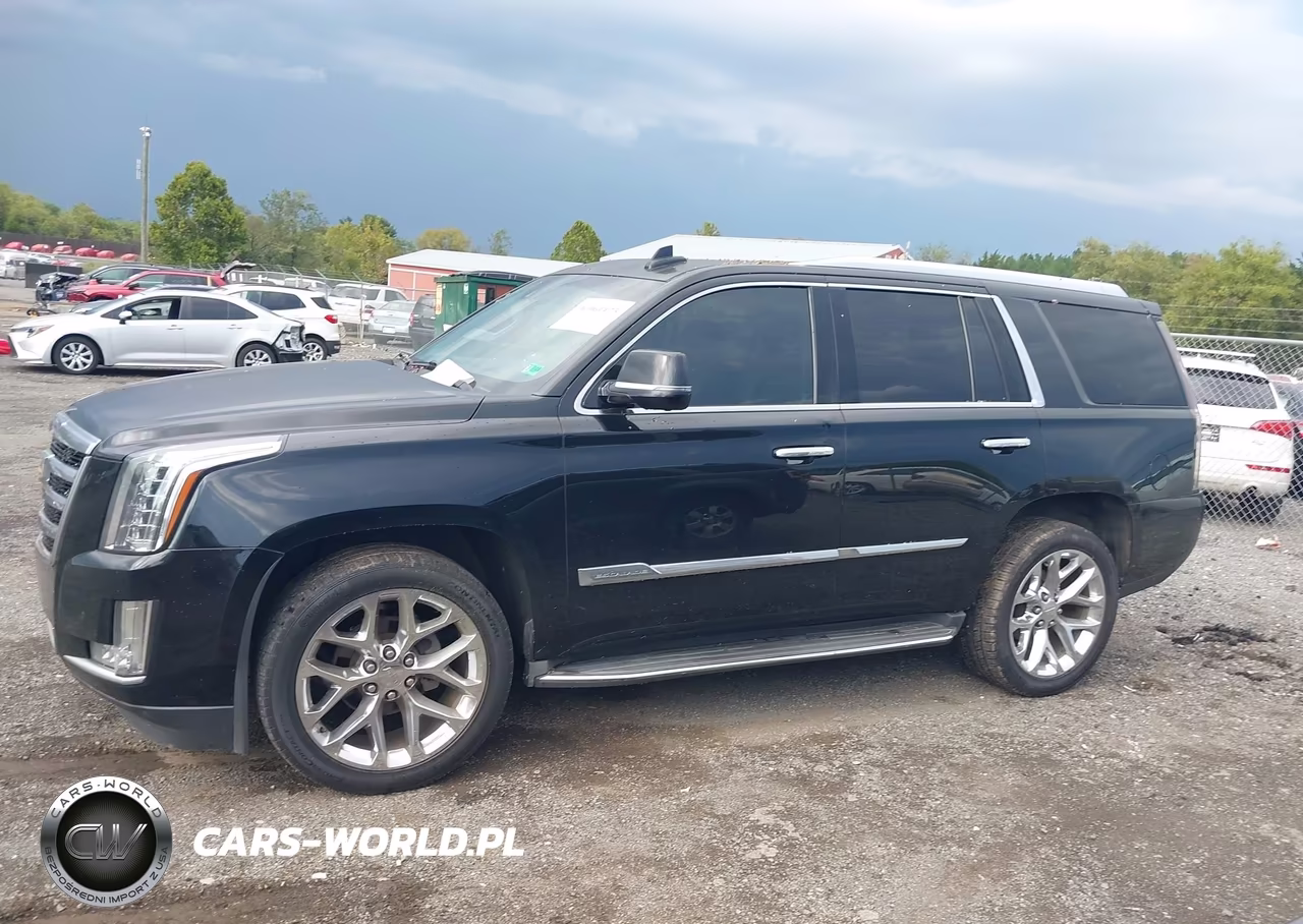 2016 Cadillac Escalade Luxury Collection VIN:1GYS4BKJ8GR131787 - 14