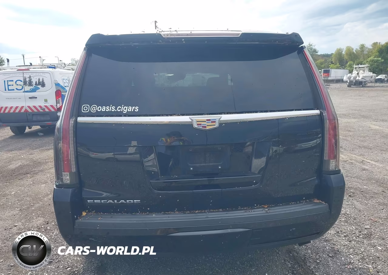2016 Cadillac Escalade Luxury Collection VIN:1GYS4BKJ8GR131787 - 16