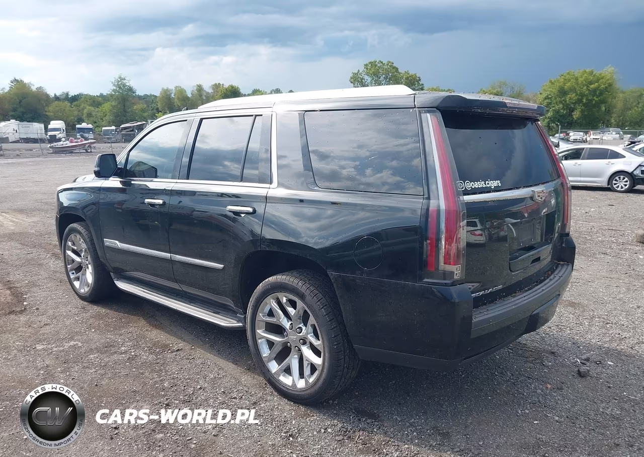 2016 Cadillac Escalade Luxury Collection VIN:1GYS4BKJ8GR131787 - 3