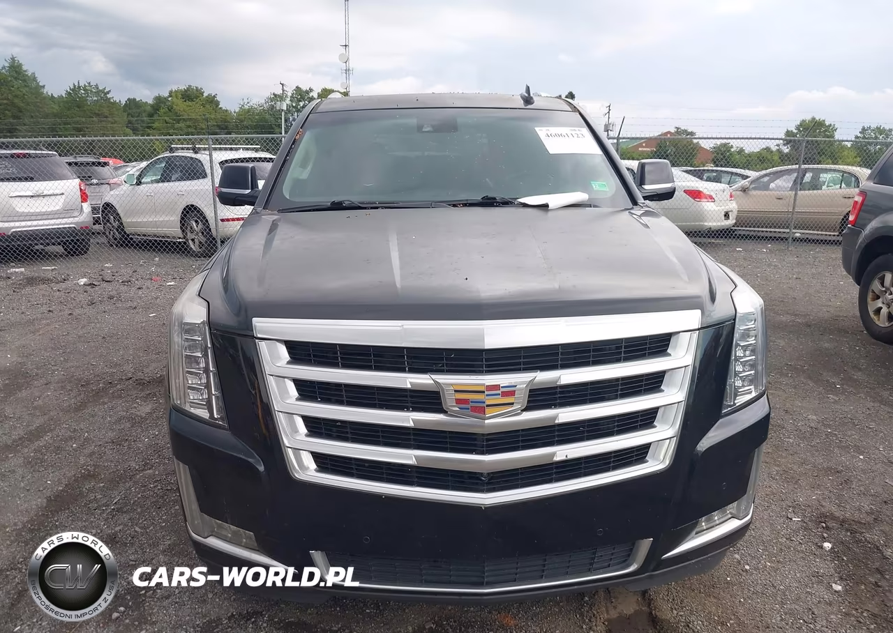 2016 Cadillac Escalade Luxury Collection VIN:1GYS4BKJ8GR131787 - 6