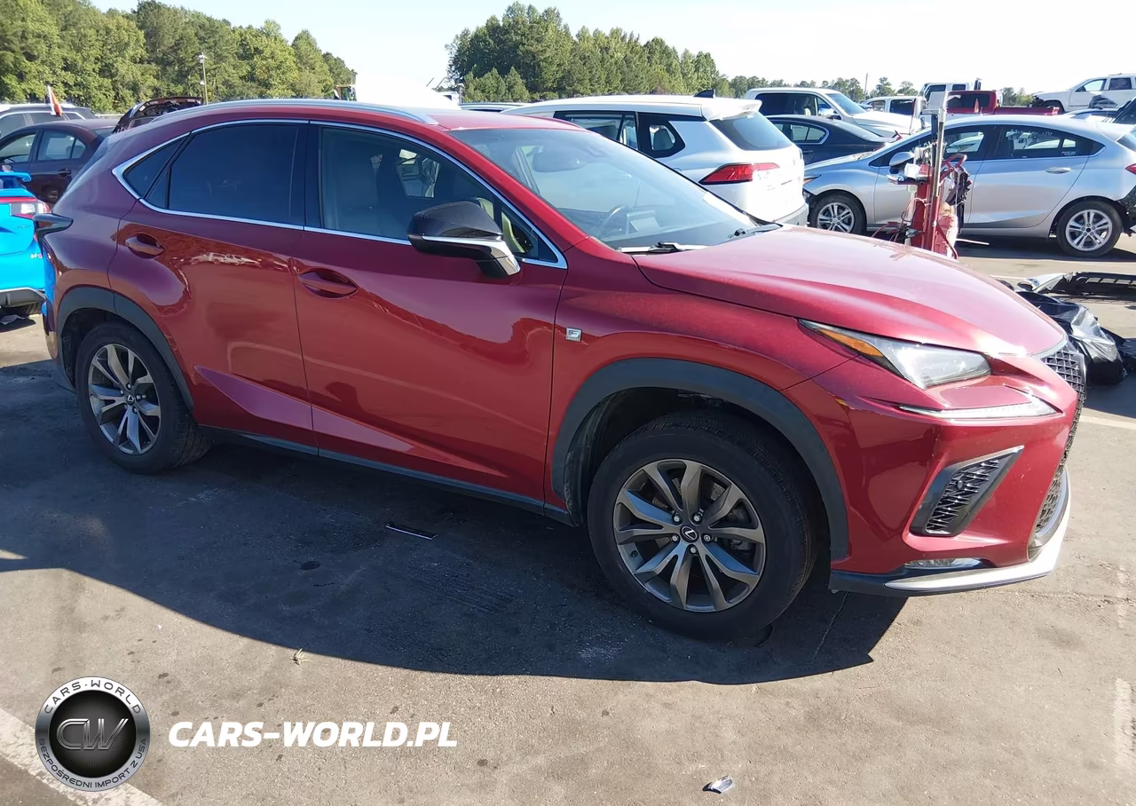 2019 Lexus Nx 300 F Sport VIN:JTJYARBZ2K2138000 - 1
