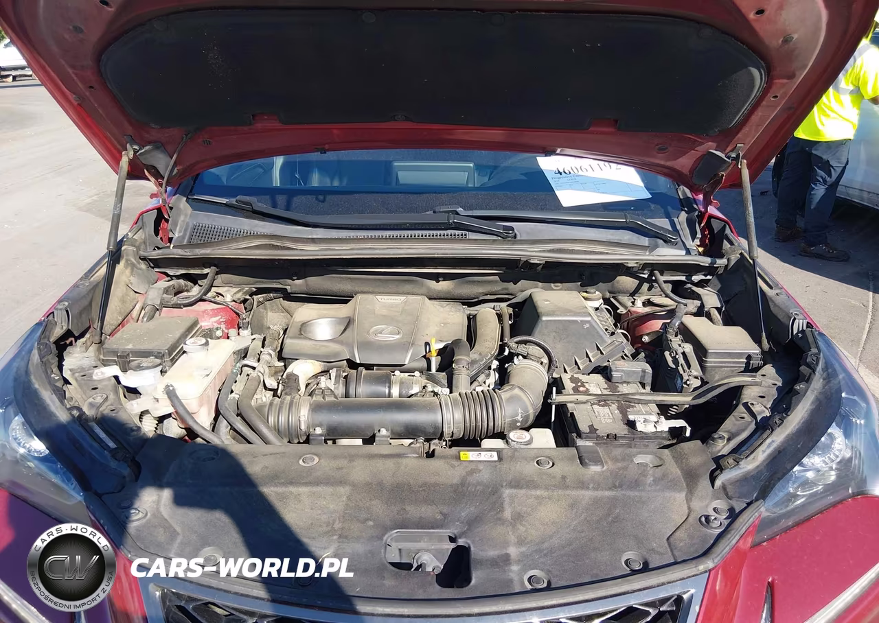 2019 Lexus Nx 300 F Sport VIN:JTJYARBZ2K2138000 - 10