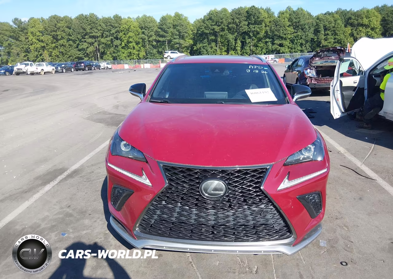 2019 Lexus Nx 300 F Sport VIN:JTJYARBZ2K2138000 - 12