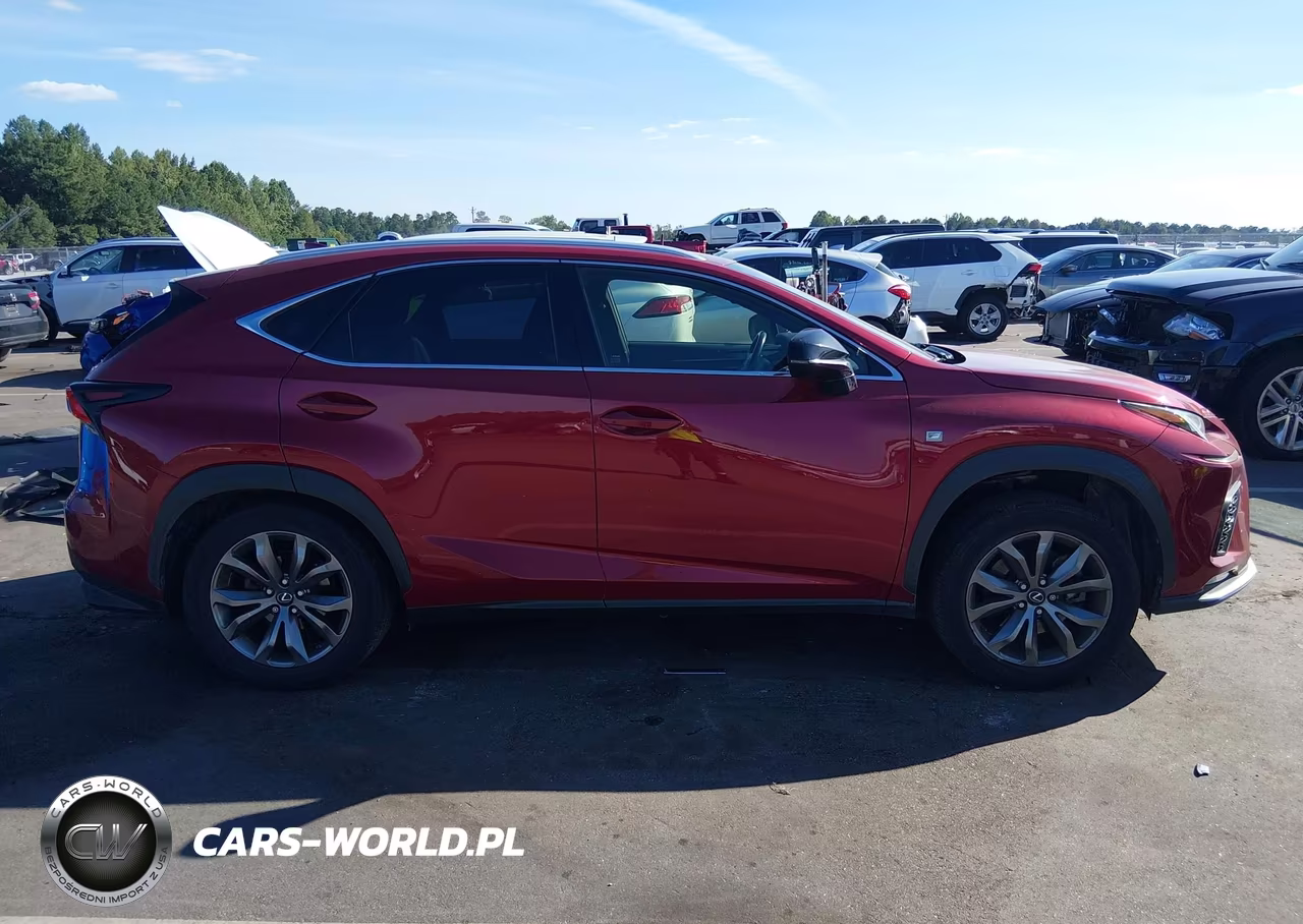 2019 Lexus Nx 300 F Sport VIN:JTJYARBZ2K2138000 - 13