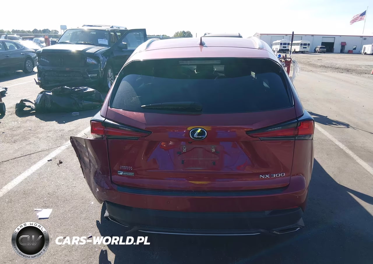 2019 Lexus Nx 300 F Sport VIN:JTJYARBZ2K2138000 - 16